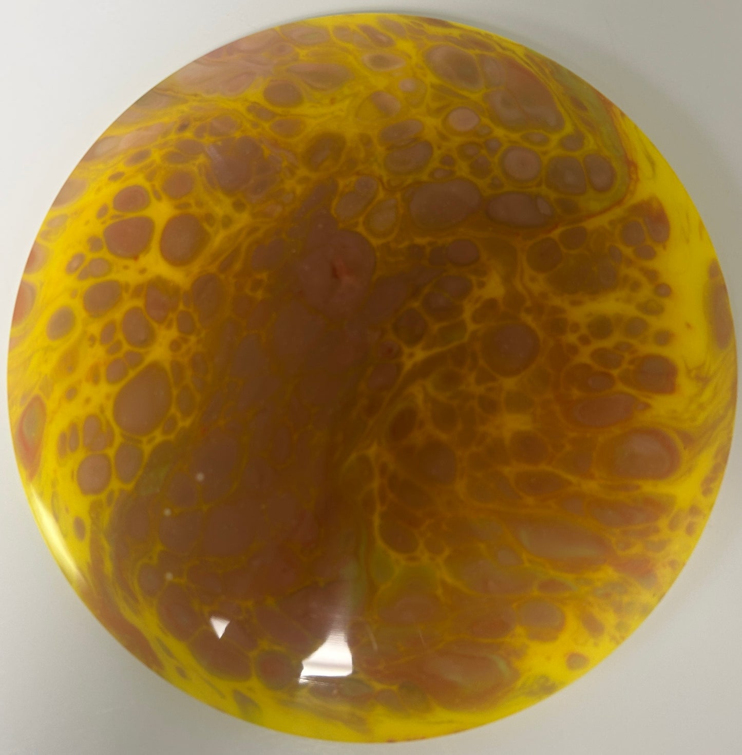 *Dyed* Instinct - Neo