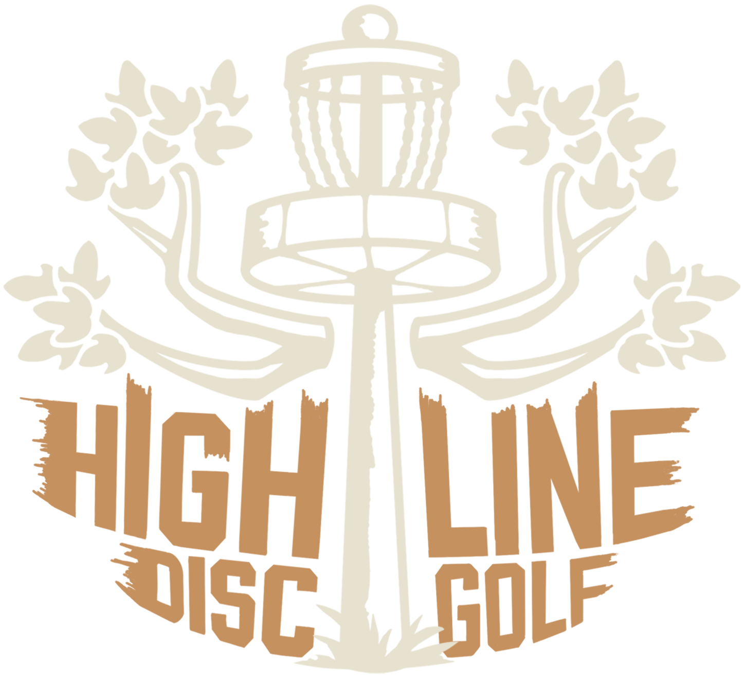 Disc Golf Form Critique (User Submitted Video)