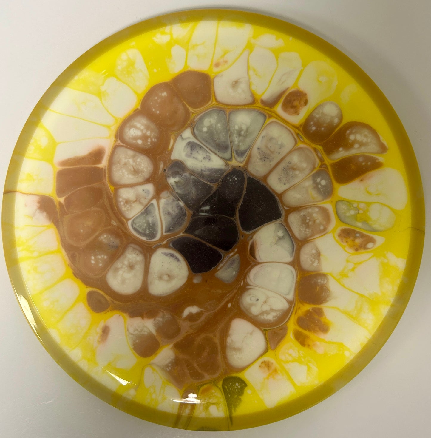 *Dyed* Rhythm - Neutron 170-172g