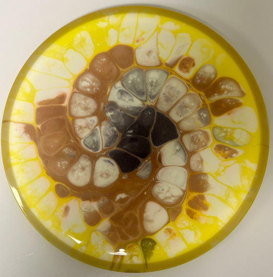 *Dyed* Rhythm - Neutron 170-172g